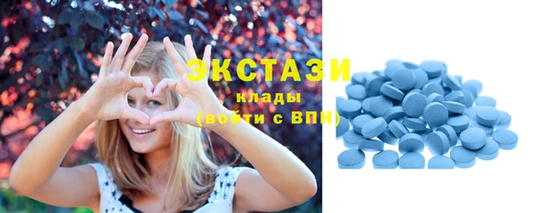 СК Вязьма