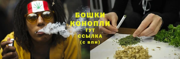 СК Вязьма