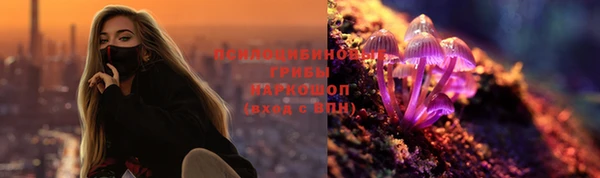 СК Вязьма