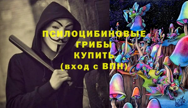 СК Вязьма
